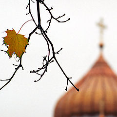 фото "Последний лист"