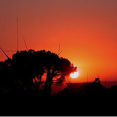 фото "Coimbra at sunset!"