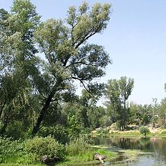 photo "The landscape in center of Kiev"