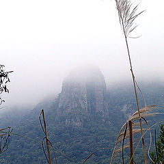 фото "Fog peak"