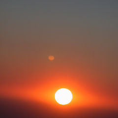 photo "Sun"