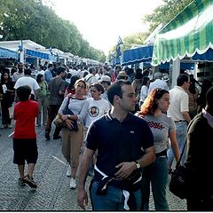 фото "A day in the Lisboa book fair"