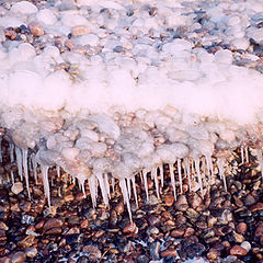 photo "Ice needles"