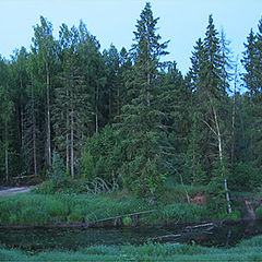 photo "Blue-green morning"