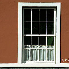 photo ""Window""