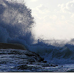 photo "Sea fury"
