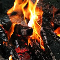 photo "The Fire"