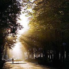 фото "Сонная аллея."