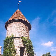 фото "Tallinn (2)"