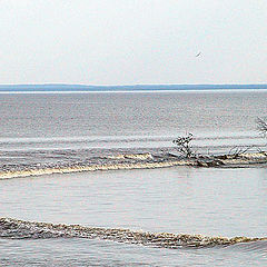 photo "Water island"