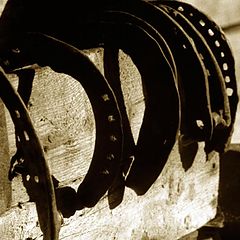 фото "Horseshoes"