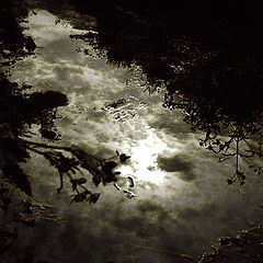 photo "REQUIEM"