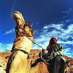 photo "" The Ship of desert " and his(its) Captain."