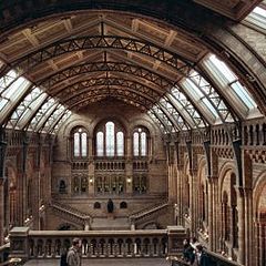 photo "Natural History Museum"