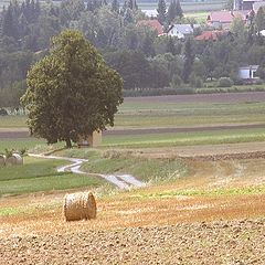 photo "In the Country"