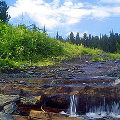 photo "Aging road"