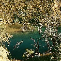 фото "Turquoise Lake"