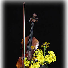 photo "The Violin and Flowers"