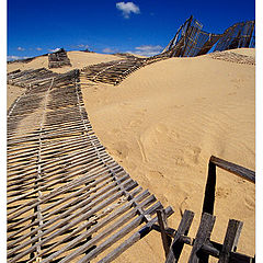 photo "The Last Fences"