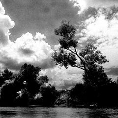 photo "Clouds"