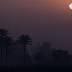 photo "Foggy morning in Cairo"
