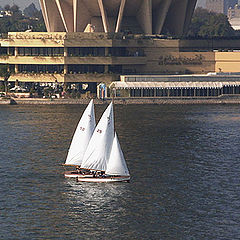 photo "River Nile at Cairo"