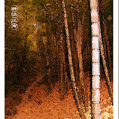 фото "The bamboo"