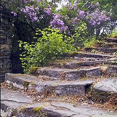 photo "Steps"