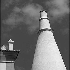 фото "Looking to the Sky"