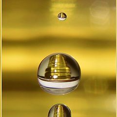 photo "Yellow Drop"