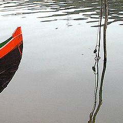 фото "Dialogue"