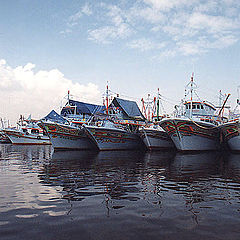 photo "Fishing Boats Harbour"