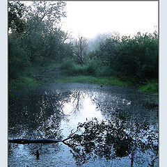 photo "Inlet from fairy tale"