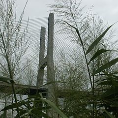 фото "Vasco da Gama bridge over Tejo"