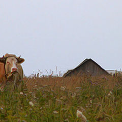 photo "Rural sketches..."