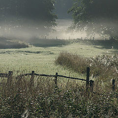 photo "Village fence"