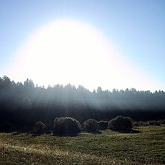 photo "Solar dome"