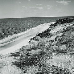 photo "Dune"