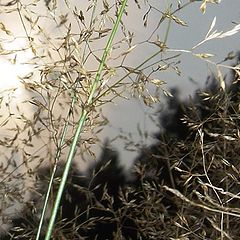 photo "Decline in a smoke"