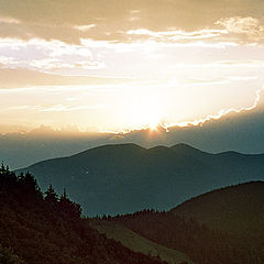 photo "Sundown in brown tone"