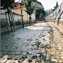 photo "After flood (Praha)"