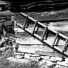 photo "Staircase"