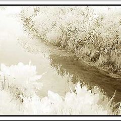 photo "Infared landscape"