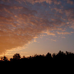 photo "Earth And The Sky"