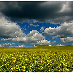 фотоальбом "Пейзаж"