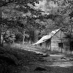 photo "Cabin in the forest"