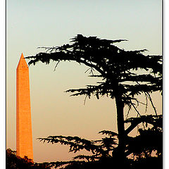 фото "Washington Monument"