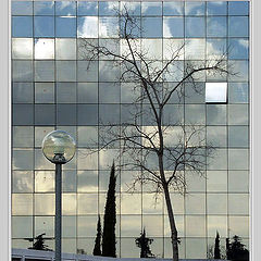 photo "Lamp-tree-geometrical etude"