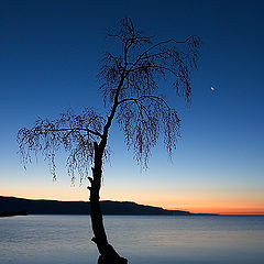 photo "When retreats the night..."