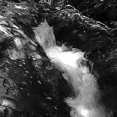 photo "Mountain stream"